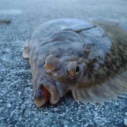 終了間際の奇跡